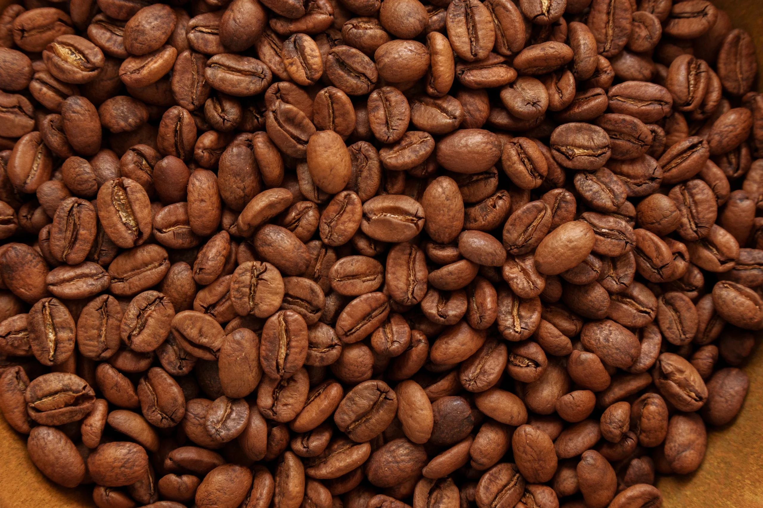 Kolumbiai kávéfarm felvétel - prémium specialty arabica kávé