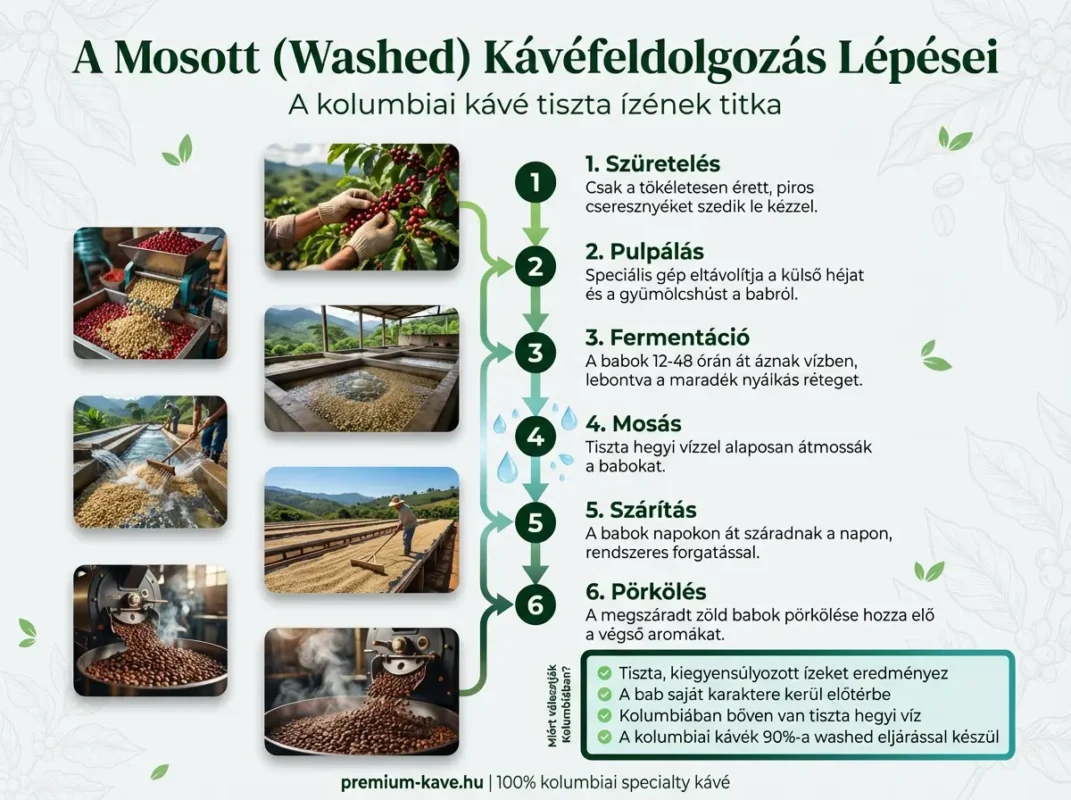 Washed technika kolumbiai kávéfeldolgozás - specialty arabica kávé elkészítése