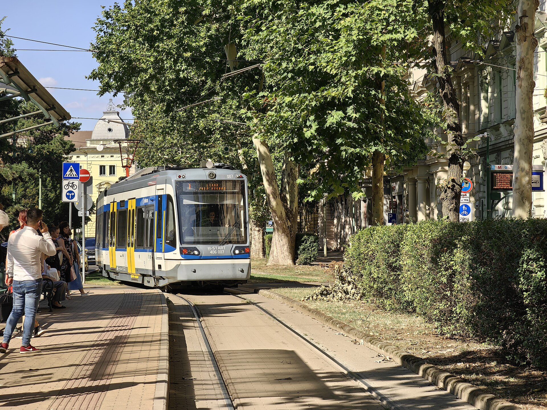 Villamos érkezik a fákkal szegélyezett szegedi Széchenyi térre